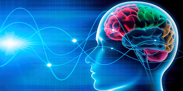Plasticity of Brain